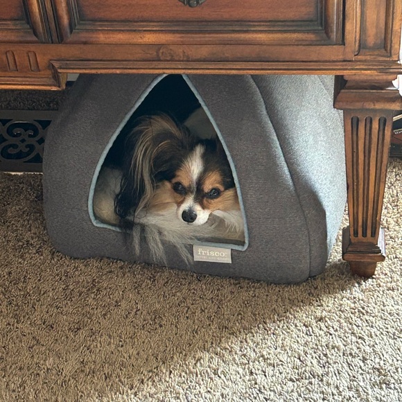 Meet your Posher, Nancy - Picture 9 of 10